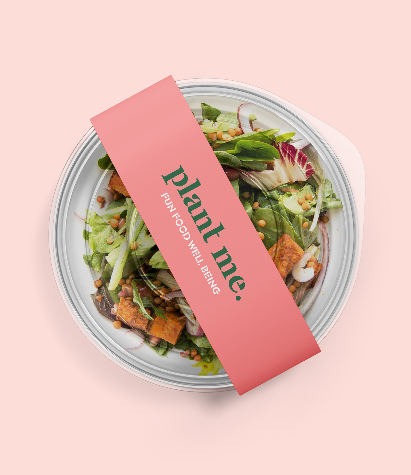 Salad-Bowl-plant-me-pink